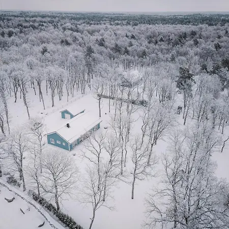 The Peaceful Vacation- M Muratsi