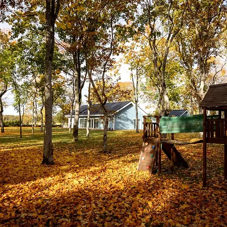 The Peaceful Vacation- M * Muratsi