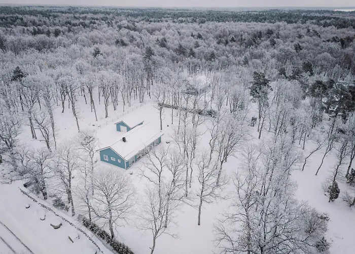 The Peaceful Vacation- M Muratsi